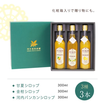 柑橘シロップ 3本セット＜金柑・甘夏・河内バンカン＞