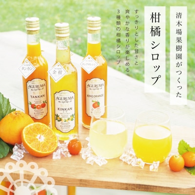 柑橘シロップ 3本セット＜金柑・タンカン・キングオレンジ＞