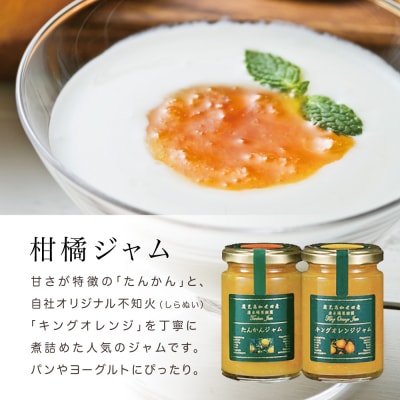 柑橘ジャム&シロップ4本セット ＜タンカン・キングオレンジ＞