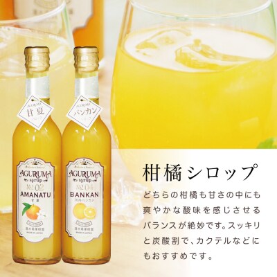 マーマレード&シロップ4本セット(甘夏・河内バンカン)
