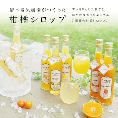 柑橘シロップ 300ml×7本セット [7種類]