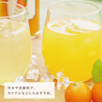 柑橘シロップ 300ml×7本セット [7種類]