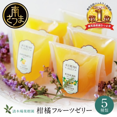 【鹿児島県産】柑橘フルーツゼリー 詰め合わせ 5種 清木場果樹園