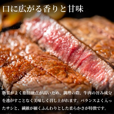 【鹿児島県産】黒毛和牛専門店 焼肉次郎長 A5等級 サーロインステーキ  2人前 約500g