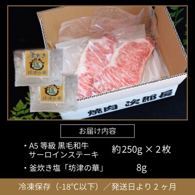 【鹿児島県産】黒毛和牛専門店 焼肉次郎長 A5等級 サーロインステーキ  2人前 約500g
