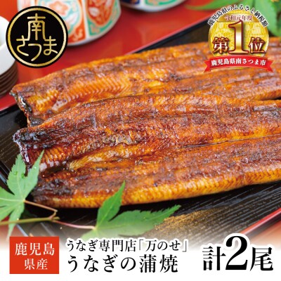 【鹿児島県産 鰻】うなぎ専門店「万のせ」 うなぎ蒲焼2尾 鰻 蒲焼き