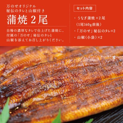 【鹿児島県産 鰻】うなぎ専門店「万のせ」 うなぎ蒲焼2尾 鰻 蒲焼き