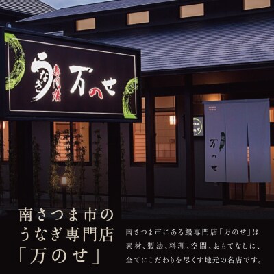 【鹿児島県産 鰻】うなぎ専門店「万のせ」 うなぎ蒲焼2尾 鰻 蒲焼き