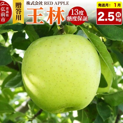 りんご 13度糖度保証【贈答用】王林 約2.5kg|24_rap-030201n