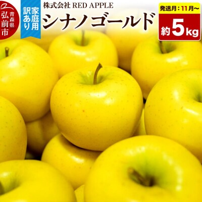 りんご【訳あり】家庭用 シナノゴールド 約5kg|24_rap-070501