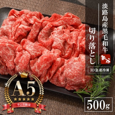 【A5ランク限定】淡路島産黒毛和牛 切り落とし 500g　aa16022