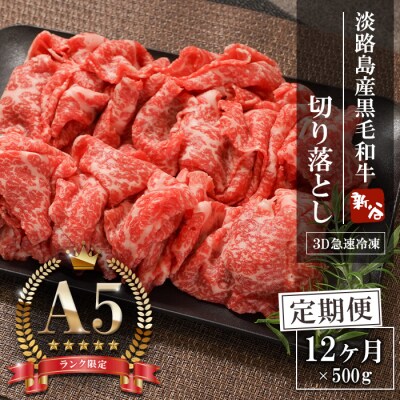 【定期便12ヶ月】【A5ランク限定】淡路島産黒毛和牛 切り落とし 500g　aa16033