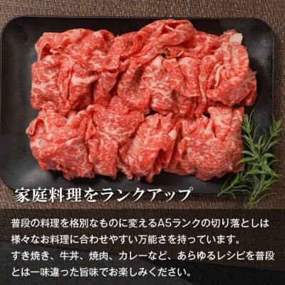 【定期便12ヶ月】【A5ランク限定】淡路島産黒毛和牛 切り落とし 500g　aa16033
