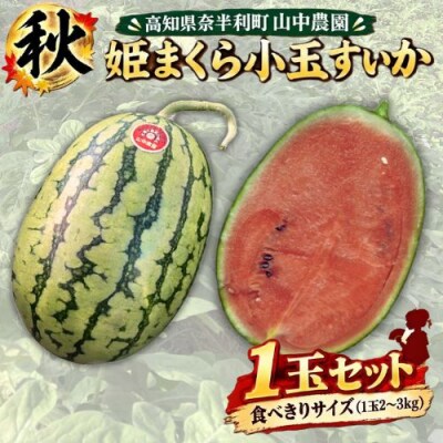 【10月下旬～順次発送】山中農園　小玉スイカ1玉　103003