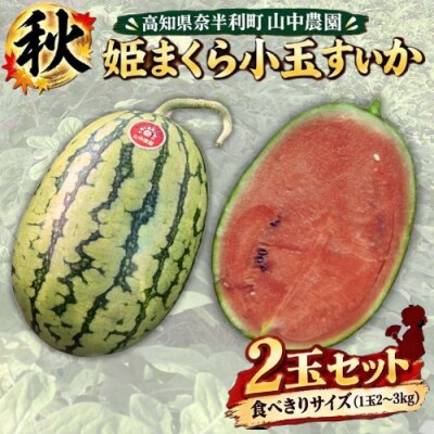 【10月下旬～順次発送】山中農園　小玉スイカ2玉　103004