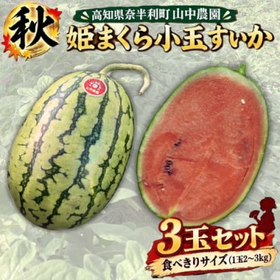 【10月下旬～順次発送】山中農園　小玉スイカ3玉　103005