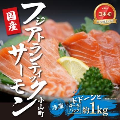 エリア限定 アトランティックサーモン 冷凍 4～5P 約1kg 国産サーモン