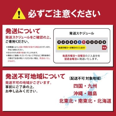 エリア限定 アトランティックサーモン 冷凍 4～5P 約1kg 国産サーモン