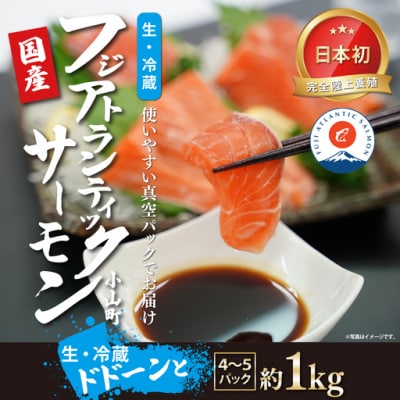 エリア限定 フジアトランティックサーモン 刺身用 生 冷蔵 4～5P 約1kg 国産 サーモン　