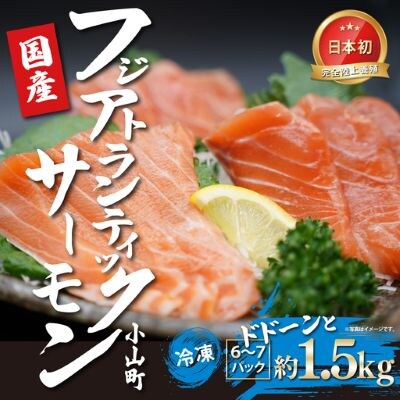 エリア限定 静岡県小山町産 アトランティックサーモン 小分け 冷凍 6～7P 約1.5kg