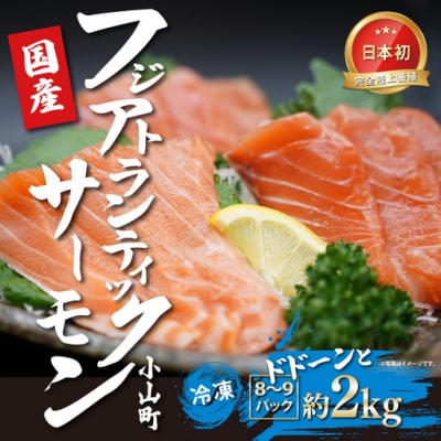 エリア限定 静岡県小山町産 アトランティックサーモン 冷凍 8～9P 約2kg