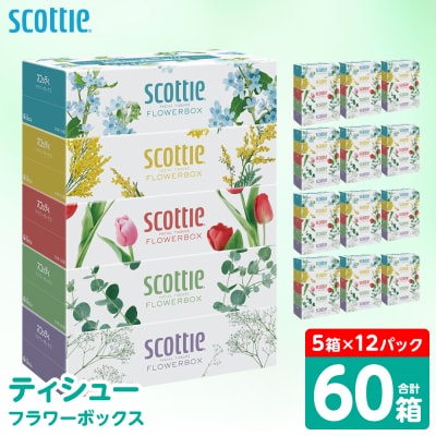 ティッシュ 250組 60箱  フラワーボックス 日用品 スコッティ_186-6354-B