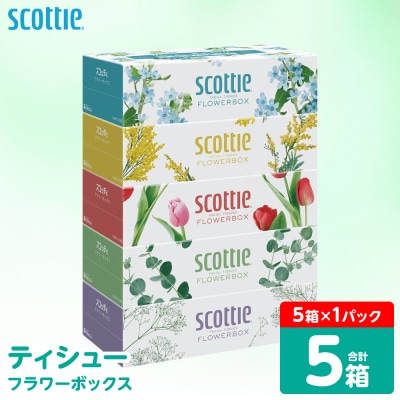 ティッシュ 5箱 スコッティ フラワーボックス_186-6423