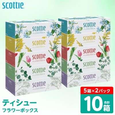 ティッシュ 10箱 スコッティ フラワーボックス_186-6424