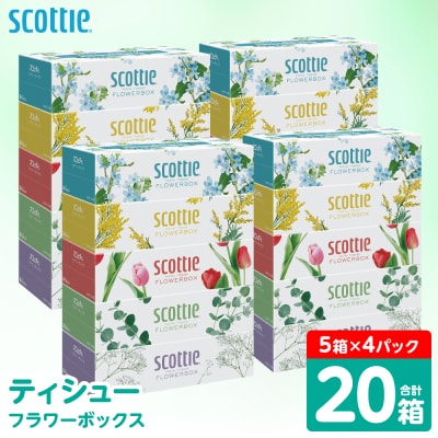 ティッシュ 20箱 スコッティ フラワーボックス_186-6426-A