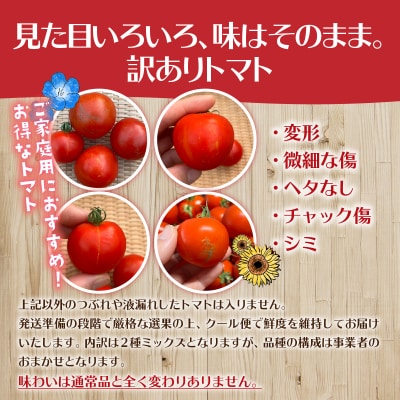 【訳あり】極旨トマトクール便 食べ比べ2種 スイート&ラビットゴッホ 1.5kg SBTAJ040