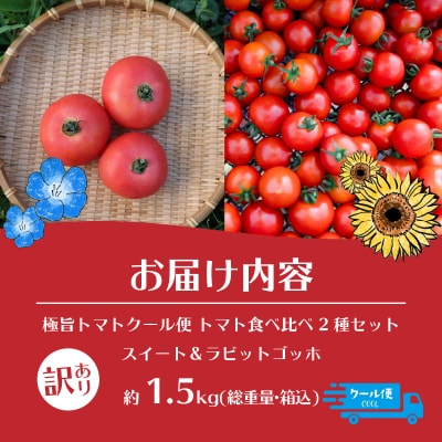 【訳あり】極旨トマトクール便 食べ比べ2種 スイート&ラビットゴッホ 1.5kg SBTAJ040