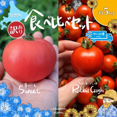 【訳あり】極旨トマトクール便 食べ比べ2種 スイート&ラビットゴッホ 5kg SBTAJ044