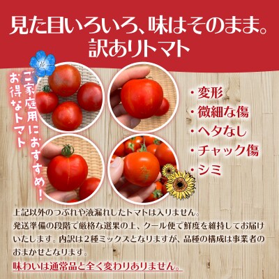 【訳あり】極旨トマトクール便 食べ比べ2種 スイート&ラビットゴッホ 5kg SBTAJ044