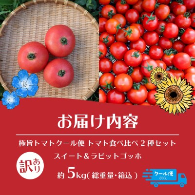 【訳あり】極旨トマトクール便 食べ比べ2種 スイート&ラビットゴッホ 5kg SBTAJ044