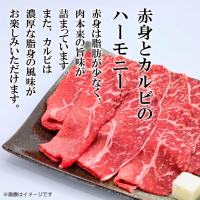【淡路牛】　特上赤身・特上カルビ　すき焼き・しゃぶしゃぶ用　600g