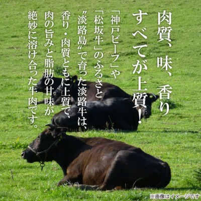 【淡路牛】　特上赤身・特上カルビ　すき焼き・しゃぶしゃぶ用　600g