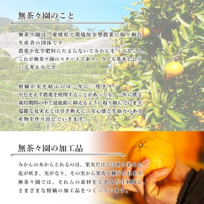 無茶々園の飲むみかんゼリー8個セット みかん 愛媛 えひめ おいしい