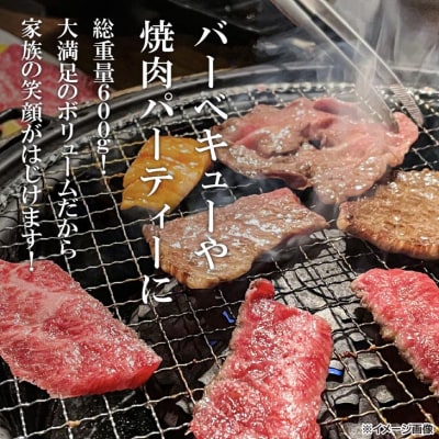 【淡路牛】特上赤身・特上カルビ　焼肉用　600g