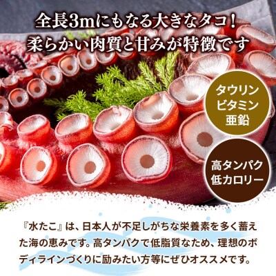 酢だこ 250g×2パック 水だこ カット済み 冷凍 秋田県 国産|16_szk-350201