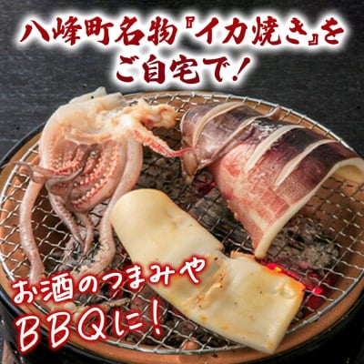 イカの開き 5枚 干物 冷凍|16_szk-370501