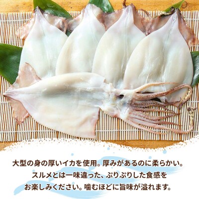 イカの開き 5枚 干物 冷凍|16_szk-370501