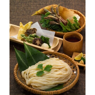 「瀬戸内中讃定住自立圏」うどんの名店食べ比べセット【C-21】
