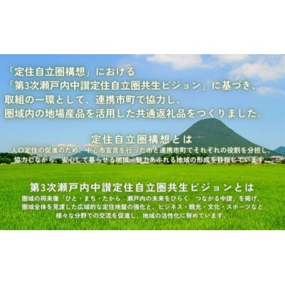「瀬戸内中讃定住自立圏」スイーツ食べ比べセット【B-56】
