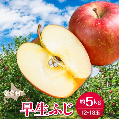 <2026年10月中旬よりお届け>壮瞥町産りんご「早生ふじ」12～18玉約5kg SBTF009