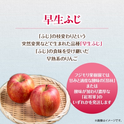 <2026年10月中旬よりお届け>壮瞥町産りんご「早生ふじ」12～18玉約5kg SBTF009