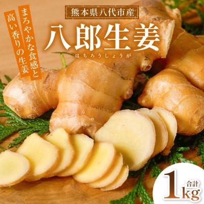八郎生姜 1kg しょうが ショウガ_065-6724
