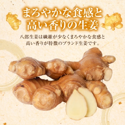 八郎生姜 2kg しょうが ショウガ_065-6725