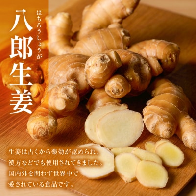 八郎生姜 2kg しょうが ショウガ_065-6725
