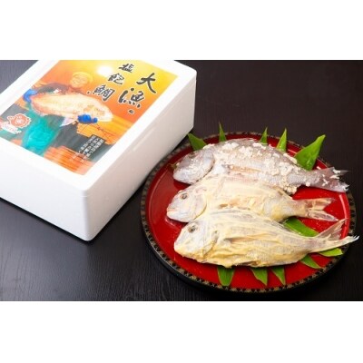 塩飽鯛 Dセット【A-76】