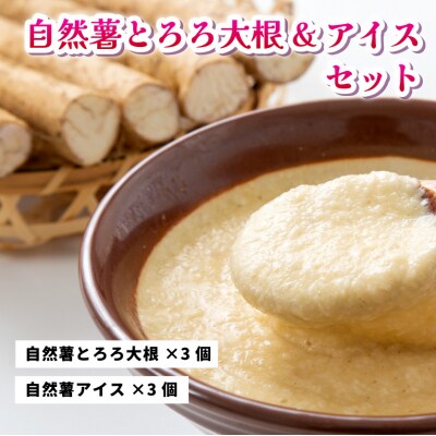 コクがあるのに後味すっきり!自然薯アイスクリーム&とろろ大根おろしセット[029-002]